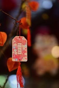 nạp rút uy tín 8Day
